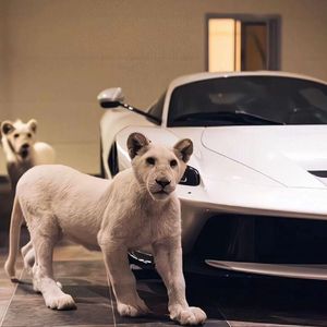 校花被爆炒的视频
