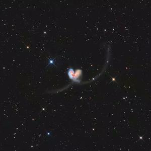 校花被爆炒的视频
